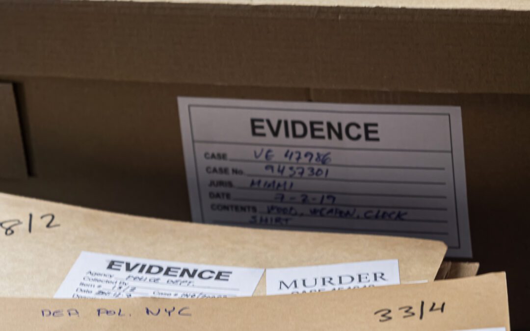 Ensuring Accountability: Standards and Regulations for Privatized Evidence Storage Providers